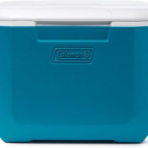 Coleman Chiller Series 16qt Insulated Portable Cooler, Hard Cooler with Heavy Duty Handle & Ice Retention, Great for Beach, Picnic, Camping, Tailgating, Groceries, Boating, & More