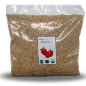 Hulled Barley 5 Pounds (dehulled) USDA Certified Organic Non-GMO Bulk, Product of USA, Mulberry Lane Farms