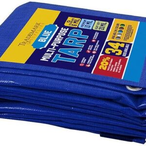Large Waterproof Tarp Thick Poly Tarpaulin Ideal for Canopy Tents, Boats, RV or Pool Covers - Multipurpose Protective Tarps with Grommets for Indoor and Outdoor Use | 8' x 10'
