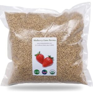 Whole Oats 5 Pounds Hulled, Groats, USDA Certified Organic Non-GMO Bulk, Mulberry Lane Farms