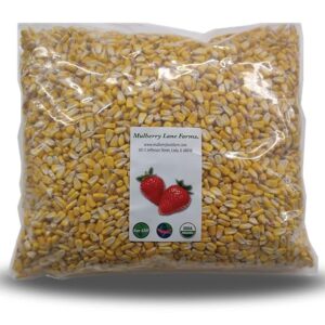 Whole Yellow Corn 5 Pounds, USDA Certified Organic, Non-GMO, Product of USA, Mulberry Lane Farms
